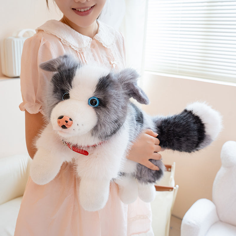 Collie Puppy With Collar Plush