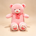 Dual Color Teddy Bear